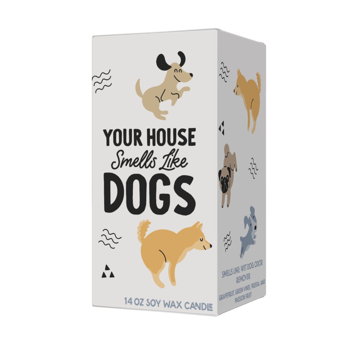 Your House Smells Like Dogs Candle (funny gift)